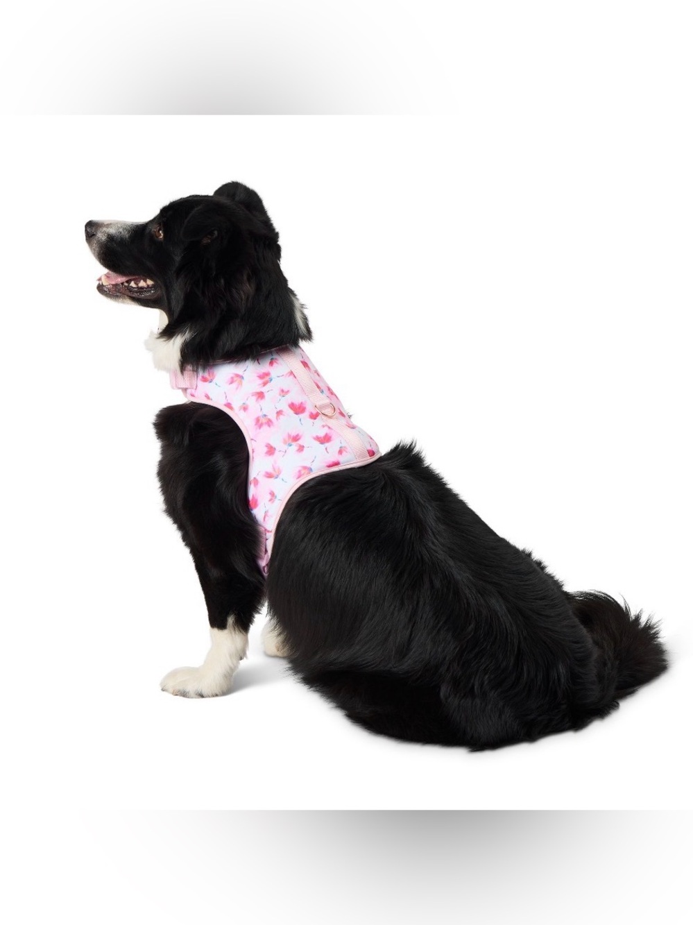 Top Paw Medium Pink Floral Dog Harness Adjustable Mesh Walking Harness